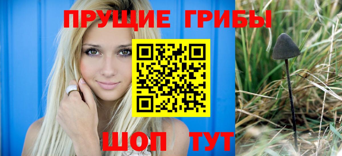 наркошоп  Псилоцибиновые грибы Magic Shrooms  Вход с VPN  Топки 